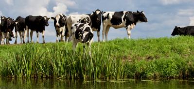 img acque 2 agriparadigma