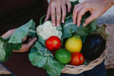 img alimenti e mangimi agriparadigma