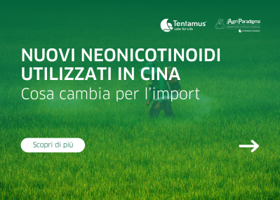 Imag NEWS sito web neonicotinoidi cina